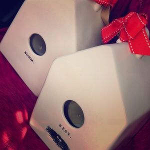 Bloom and nest Rae Dunn